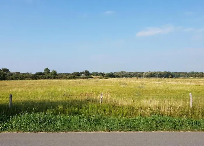Quaint Summer Holiday Home in Egmond-Binnen with Garden